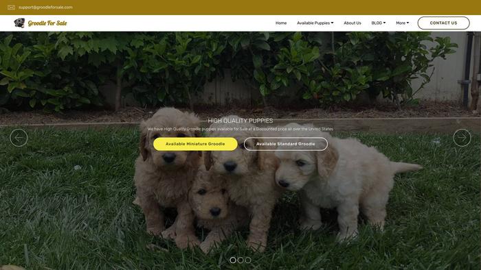 Groodleforsale.com - Poodle Puppy Scam Review