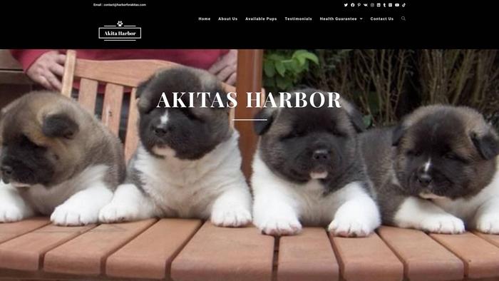 Harborforakitas.com - Akita Puppy Scam Review