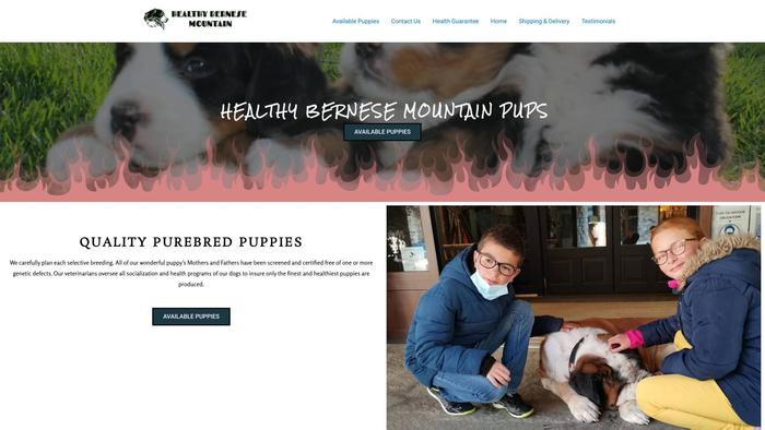 Healthybernesemountain.com - Bernese Mountain Dog Puppy Scam Review