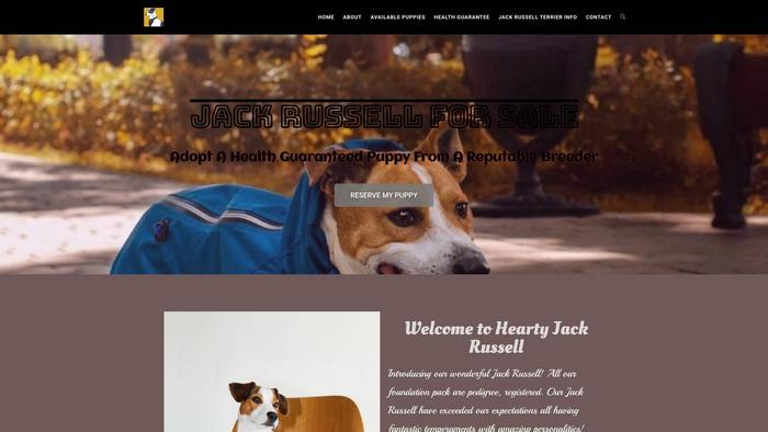 Heartyjackrussellterrier.com - Jack Russell Terrier Puppy Scam Review