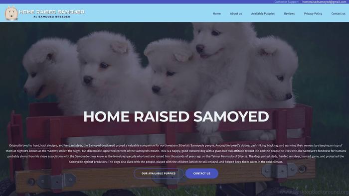 Homeraisedsamoyed.com - Samoyed Puppy Scam Review