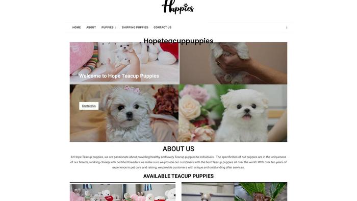 Hopeteacuppuppies.com - Yorkshire Terrier Puppy Scam Review