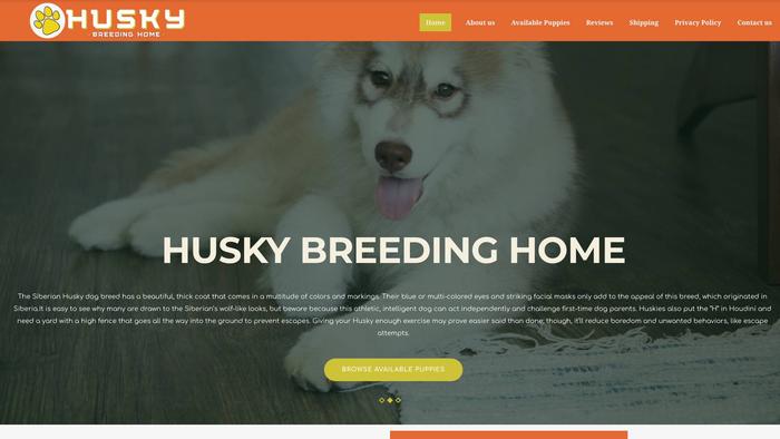 Huskybreedinghome.com - Husky Puppy Scam Review