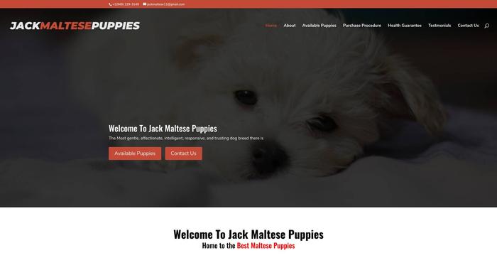 Jackmaltese.com - Maltese Puppy Scam Review