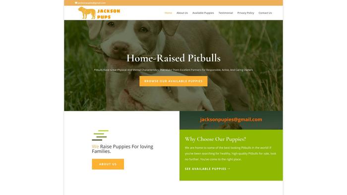 Jacksonpups.com - Pit Bull Puppy Scam Review