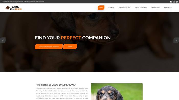 Jadedachshund.com - Dachshund Puppy Scam Review