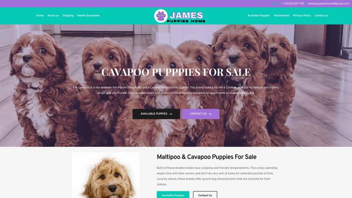 Jamespuppieshome.com - Maltipoo Puppy Scam Review