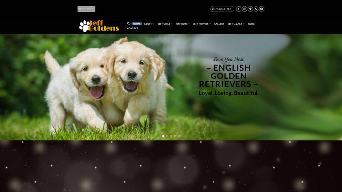 Jeffgolddens.com - Golden Retriever Puppy Scam Review