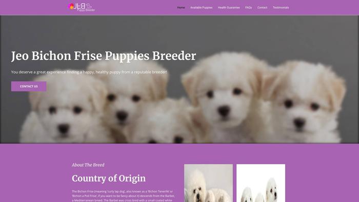 Jeobichonfrisepuppybreeder.com - Bichon Frise Puppy Scam Review