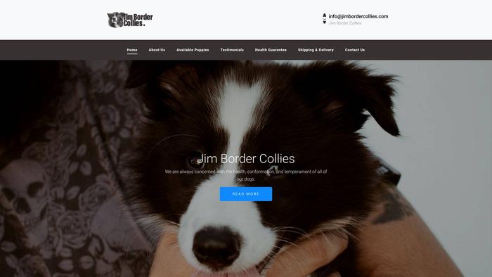 Jimbordercollies.com - Bordercollie Puppy Scam Review