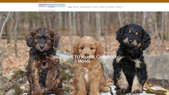 Joaniecavapoohome.com - Cavapoo Puppy Scam Review