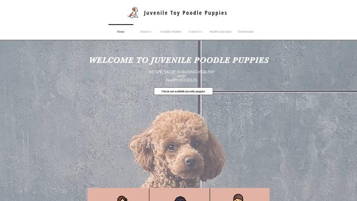 Juveniletoypoodlepuppies.com - Poodle Puppy Scam Review