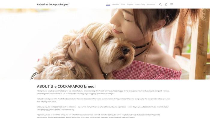 Katherinescockapoopuppies.com - Cockapoo Puppy Scam Review