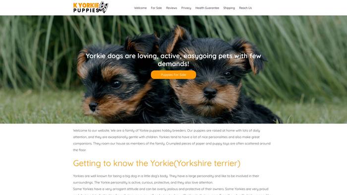 Kyorkiepuppies.com - Yorkshire Terrier Puppy Scam Review