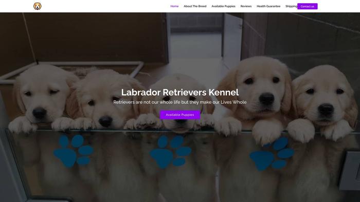 Labradorretrieverskennel.com - Golden Retriever Puppy Scam Review