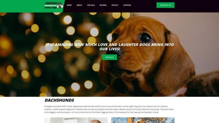 Lakemandaschundpuppieshome.com - Dachshund Puppy Scam Review