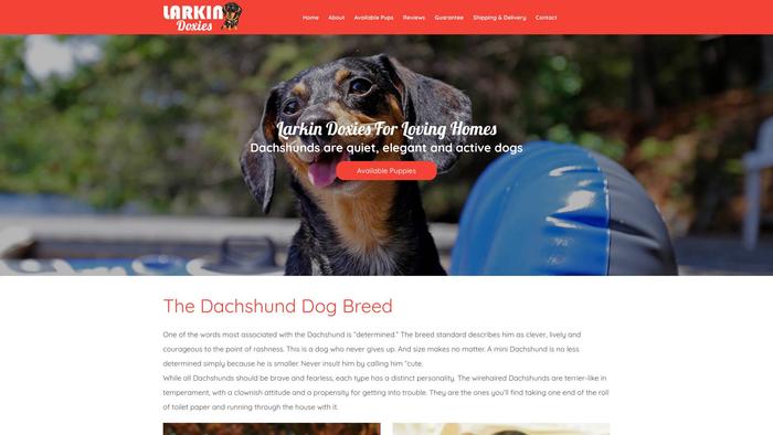 Larkindoxies.com - Dachshund Puppy Scam Review