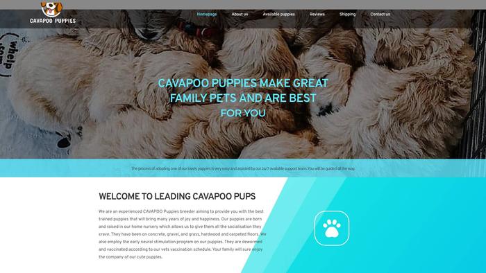 Leadingcavapoopuppieshome.com - Cavapoo Puppy Scam Review