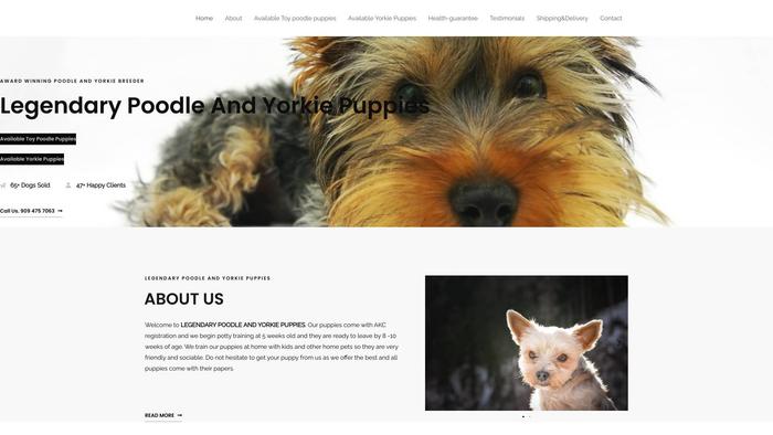 Legendarypoodleandyorkiepuppies.com - Poodle Puppy Scam Review