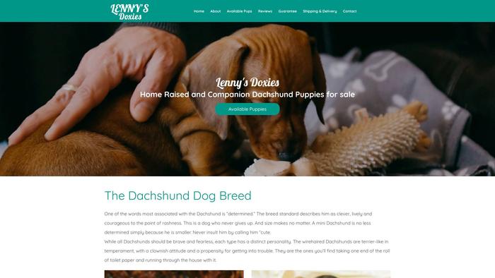 Lennysdoxies.com - Dachshund Puppy Scam Review