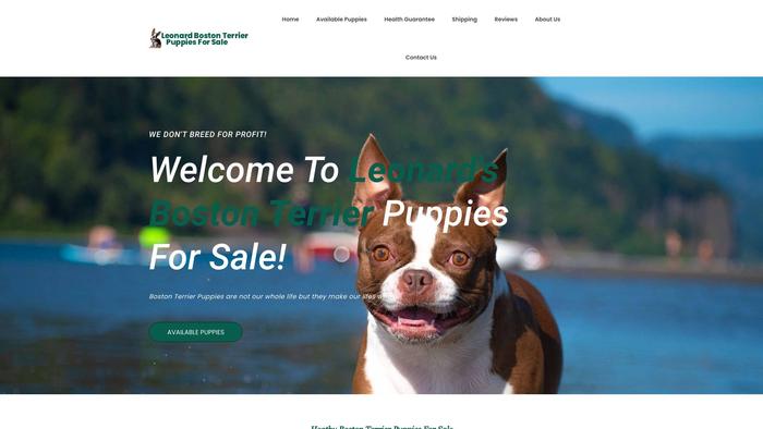 Leonardbostonterrierpuppiesforsale.com - Boston Terrier Puppy Scam Review