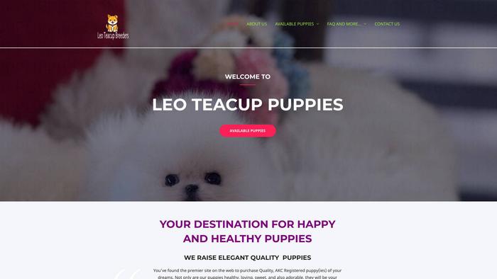 Leoteacupbreeders.com - Yorkshire Terrier Puppy Scam Review