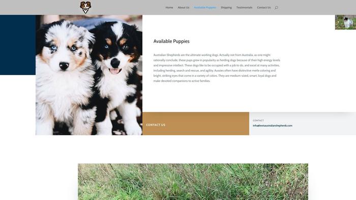 Lewisaustralianshepherds.com - Australian Shepherd Puppy Scam Review