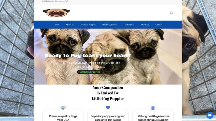 Littlepugpuppies.com - Pug Puppy Scam Review