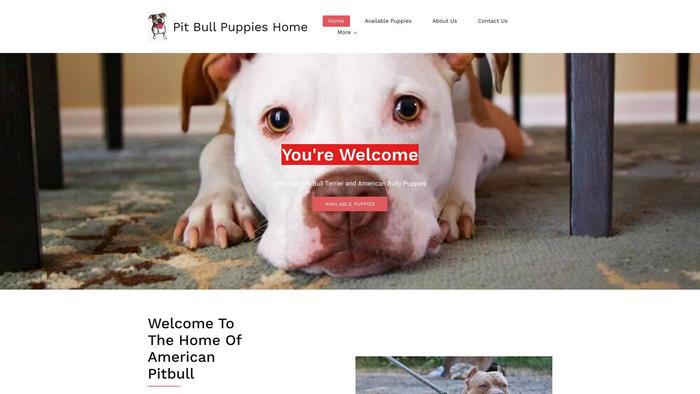 Livelypitbullpups.com - Pit Bull Puppy Scam Review