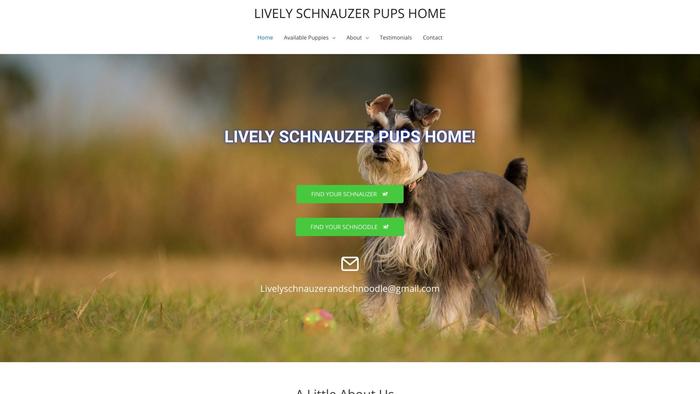 Livelyschnauzerandschnoodlehome.com - Schnauzer Puppy Scam Review