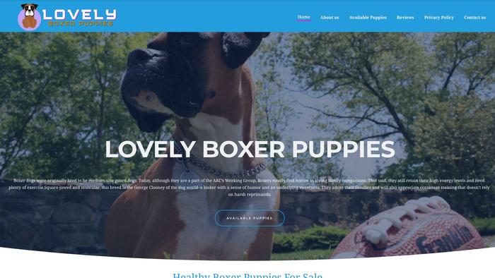 Lovelyboxerpuppies.com - Boxer Puppy Scam Review