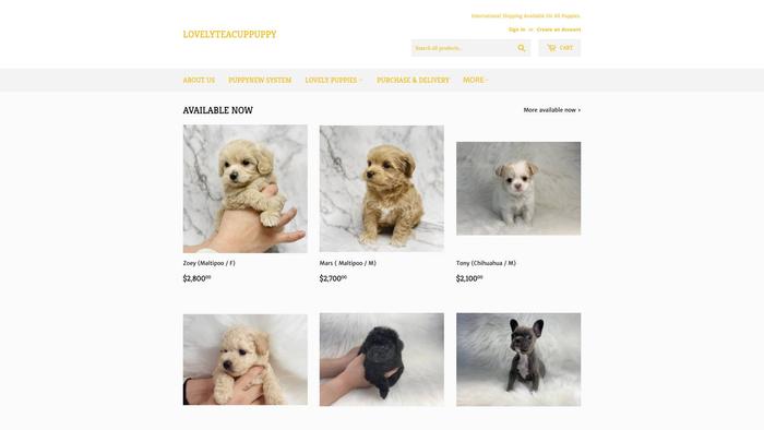 Lovelyteacuppuppy.com - Yorkshire Terrier Puppy Scam Review