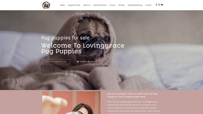 Lovinggracepugpuppies.com - Pug Puppy Scam Review