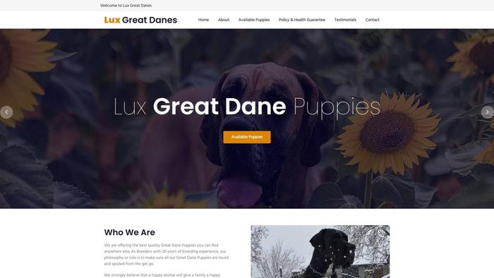 Luxgreatdanepuppies.info - Great Dane Puppy Scam Review