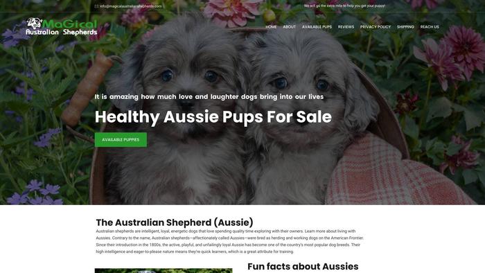 Magicalaustralianshepherds.com - Germanshepherd Puppy Scam Review