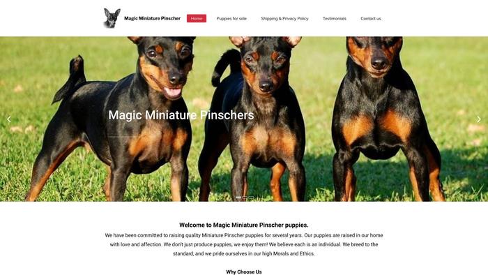 Magicminiaturepinscher.com - Doberman Pinscher Puppy Scam Review