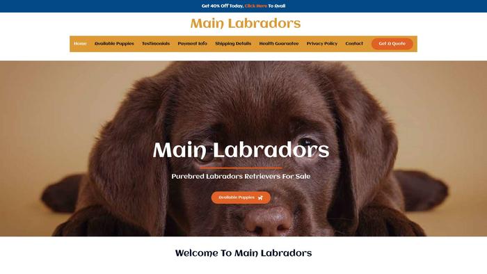 Mainlabradors.com - Golden Retriever Puppy Scam Review