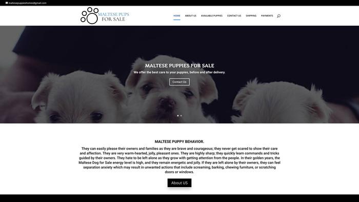 Maltesepupsforsale.com - Maltese Puppy Scam Review