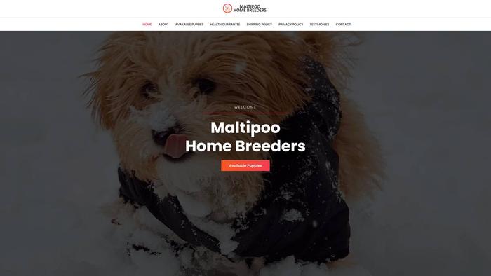 Maltipoohomebreeders.info - Maltipoo Puppy Scam Review