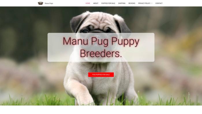 Manupugs.com - Pug Puppy Scam Review