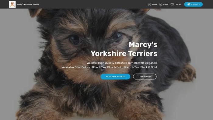 Marcysyorkshires.com - Yorkshire Terrier Puppy Scam Review