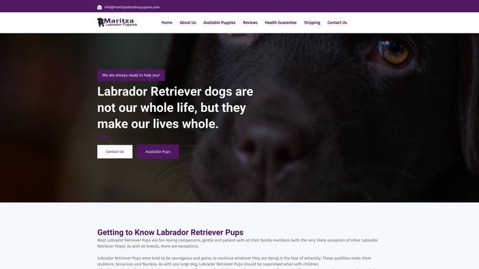 Maritzalabradorpuppies.com - Labrador Puppy Scam Review