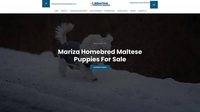 Marizamaltesepuppies.com - Maltese Puppy Scam Review