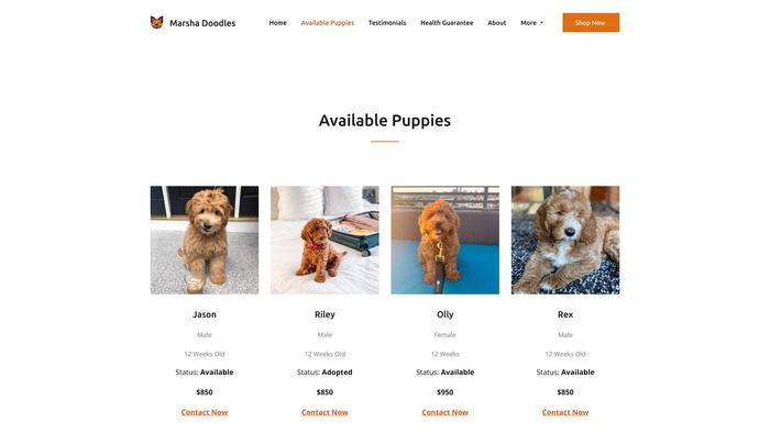 Marshagoldendoodles.com - Golden Doodle Puppy Scam Review