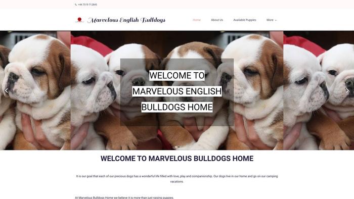 Marvelousenglishbulldogs.com - English Bulldog Puppy Scam Review