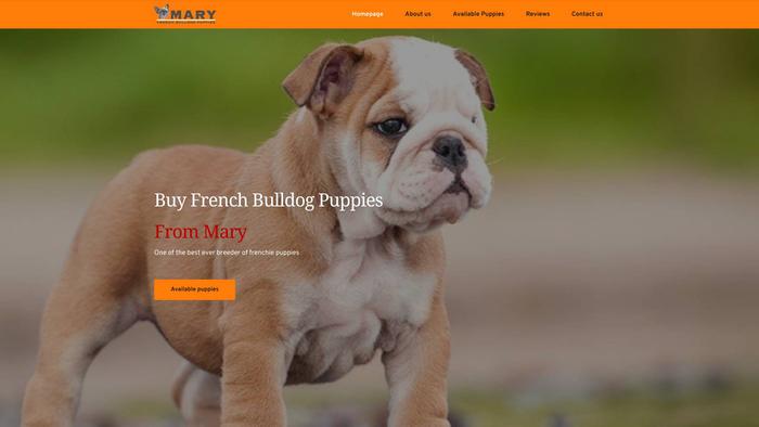 Maryfrenchbulldogpuppies.com - French Bulldog Puppy Scam Review