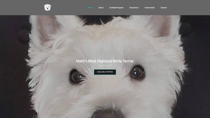 Mattiswesthighlandwhiteterrier.com - Terrier Puppy Scam Review