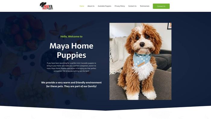 Mayahomepups.com - Cavapoo Puppy Scam Review