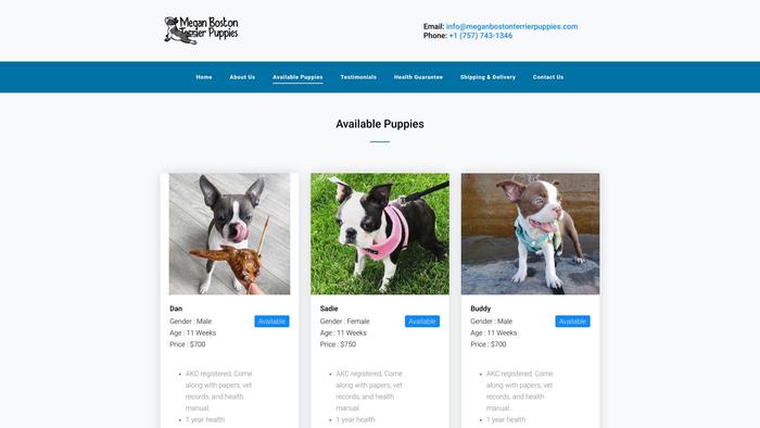 Meganbostonterrierpuppies.com - Boston Terrier Puppy Scam Review