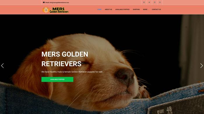 Mersgoldenretriever.com - Golden Retriever Puppy Scam Review